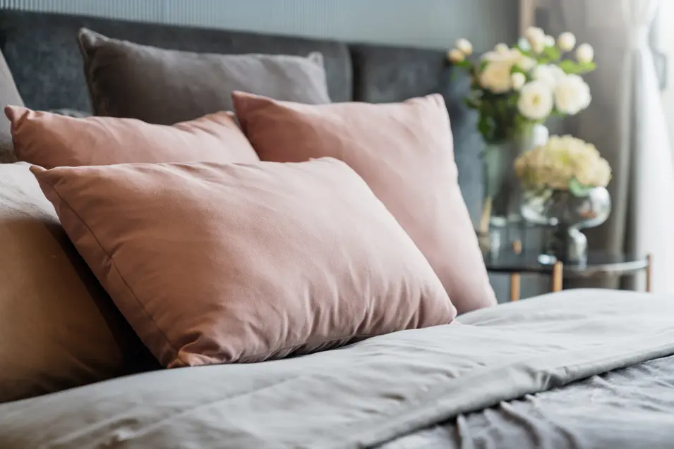 Bedroom Pillows