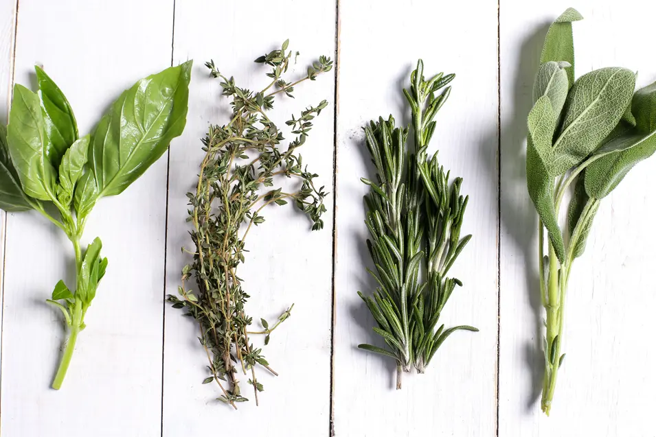 herbs
