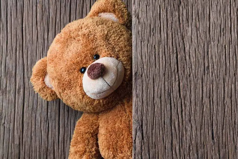 brown teddy bear